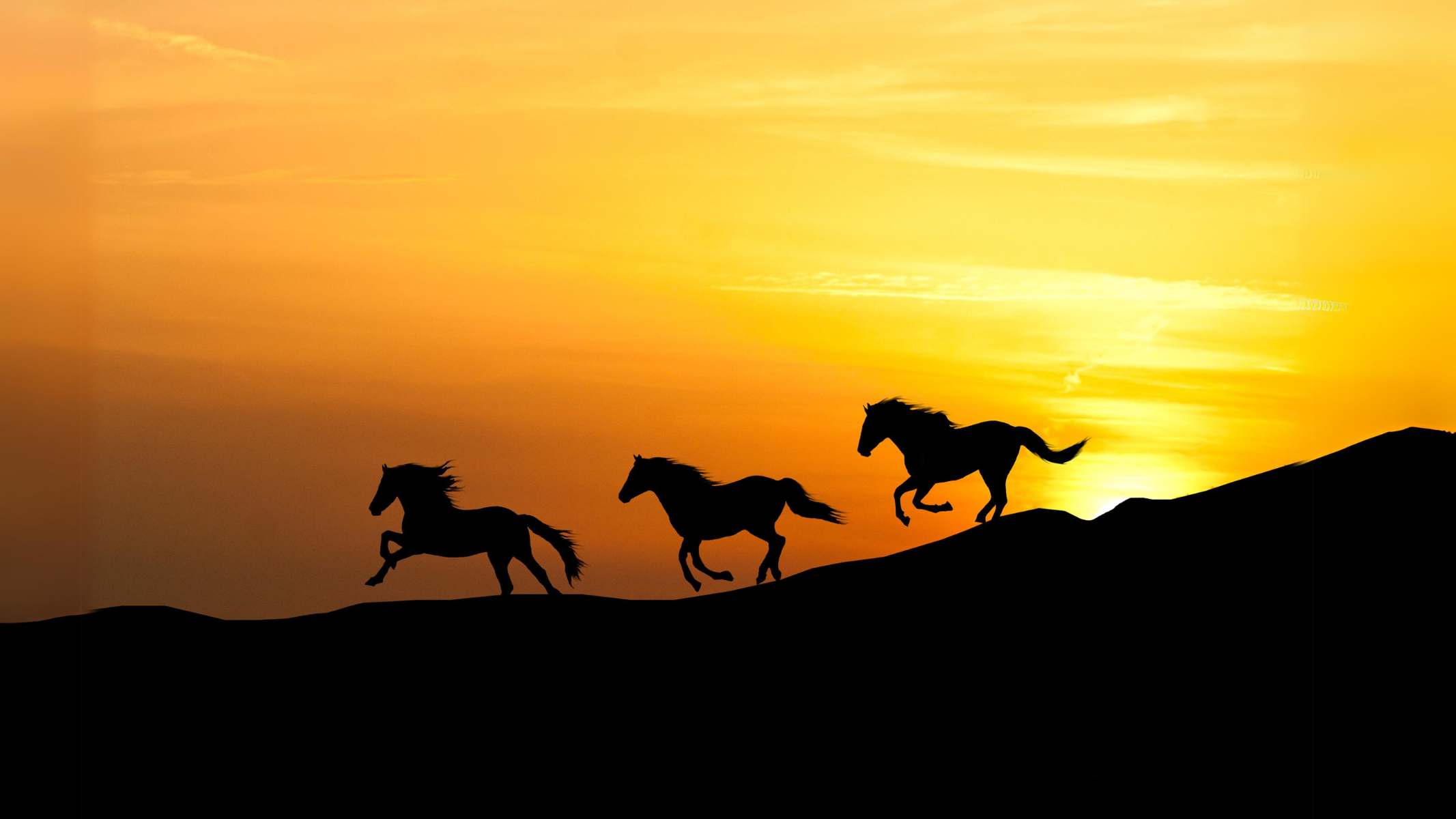 The 3rd dimension in painting