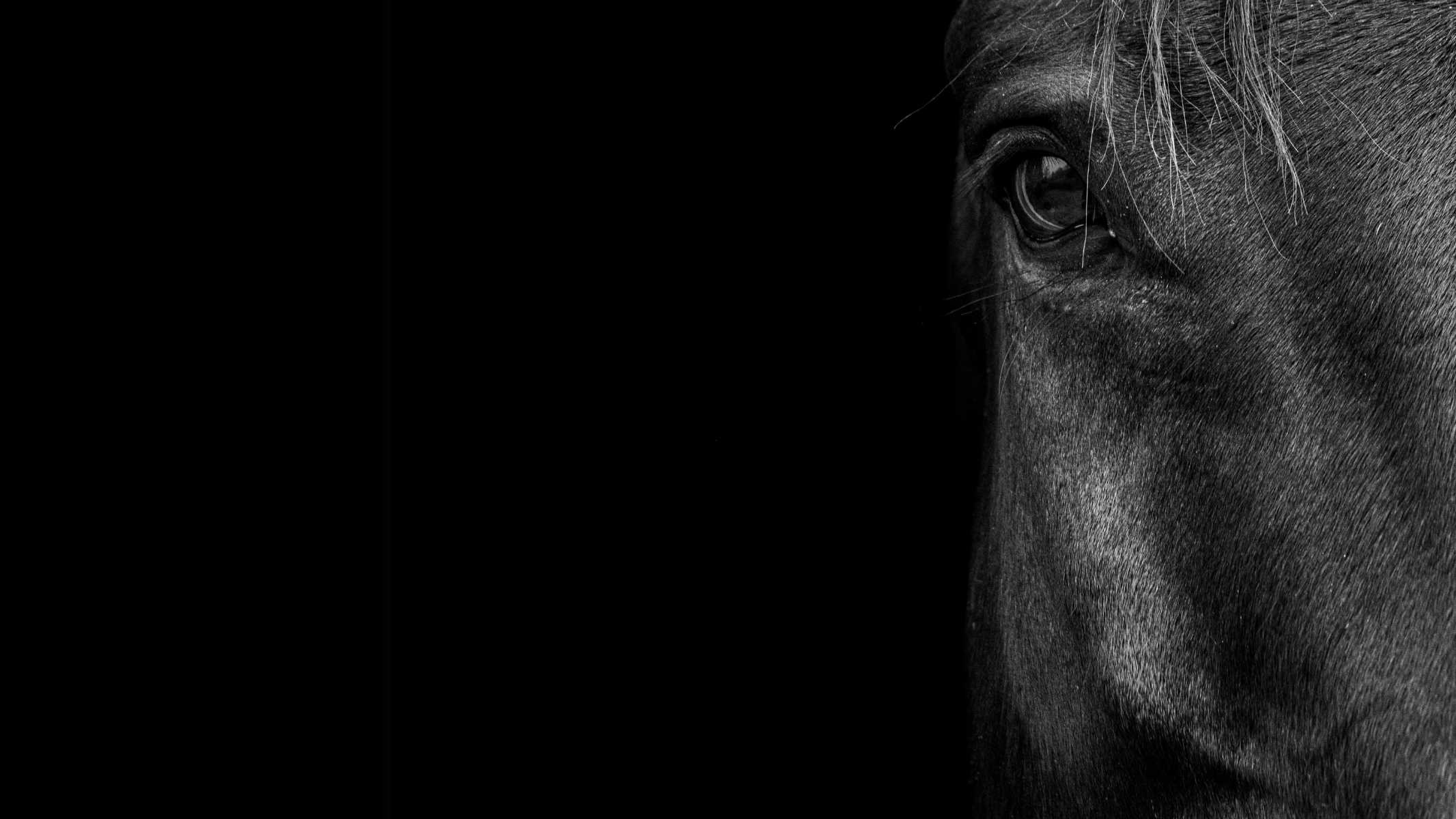 The impact of minimalism