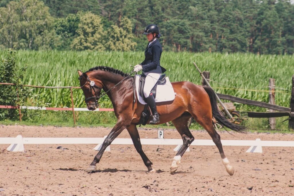 merlin